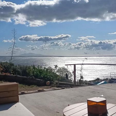 Villa Magnolia Santa-Maria-di-Lota Bagian luar foto