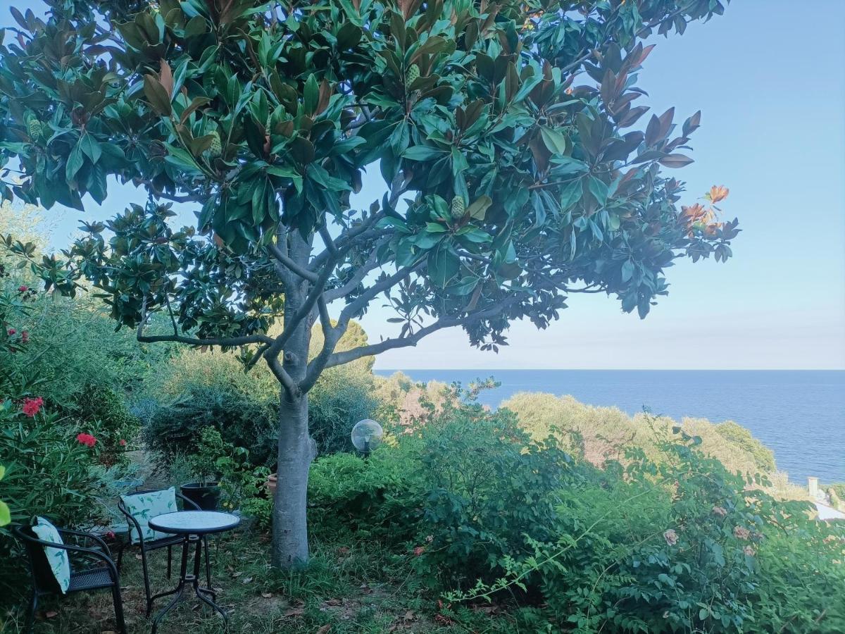 Villa Magnolia Santa-Maria-di-Lota Bagian luar foto