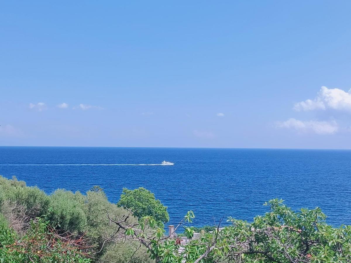 Villa Magnolia Santa-Maria-di-Lota Bagian luar foto