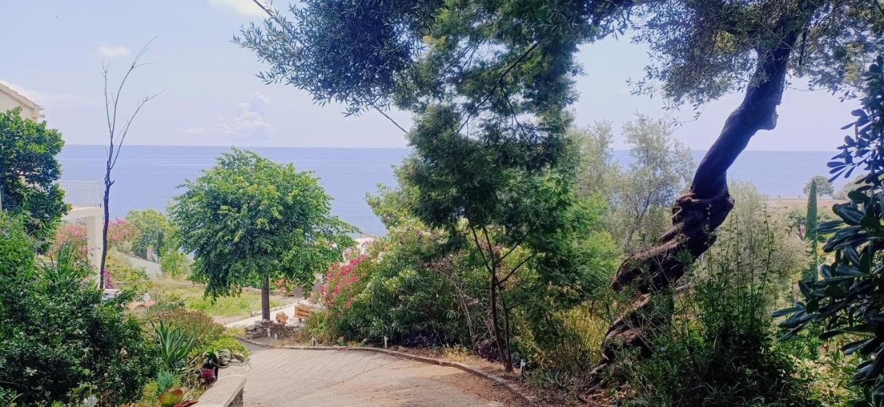 Villa Magnolia Santa-Maria-di-Lota Bagian luar foto