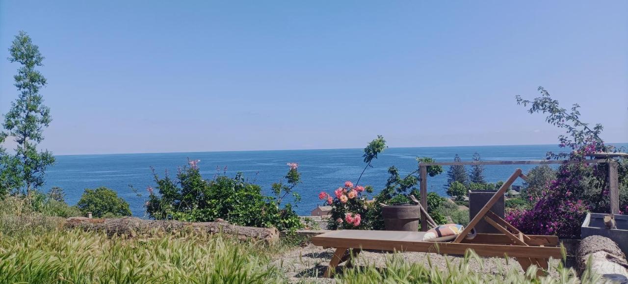 Villa Magnolia Santa-Maria-di-Lota Bagian luar foto