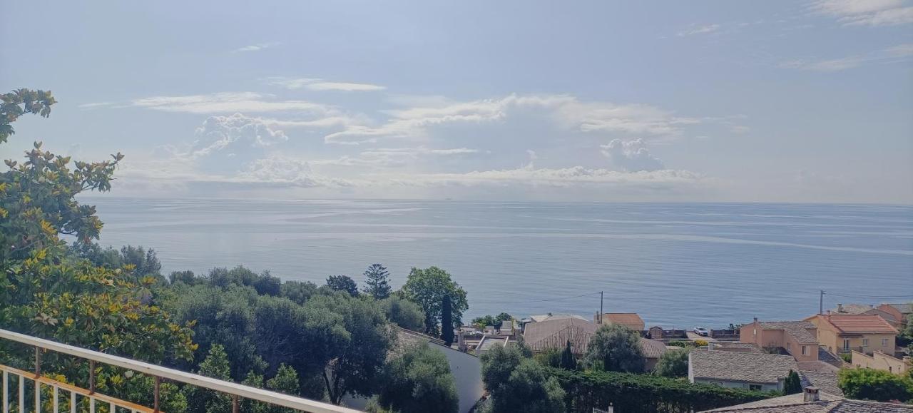 Villa Magnolia Santa-Maria-di-Lota Bagian luar foto