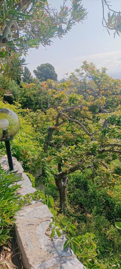 Villa Magnolia Santa-Maria-di-Lota Bagian luar foto