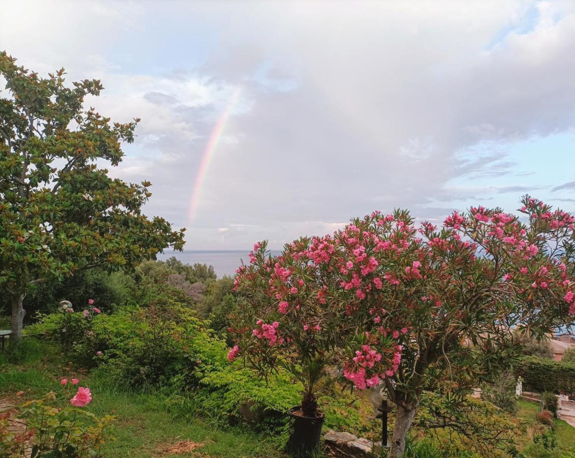 Villa Magnolia Santa-Maria-di-Lota Bagian luar foto